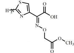 Cefixime Impurity 1