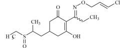 Clethodim Sulfoxide (Mixture of Diastereomers)