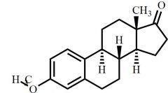 3-O-Methyl Estrone