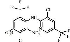 Fluazinam Impurity 1