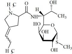 Lincomycin EP Impurity B  (Mixture of Diastereomers)