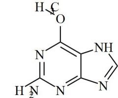 Nelarabine Impurity 11