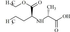 Perindopril Related Compound 11