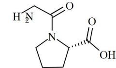 Glycyl-L-Proline