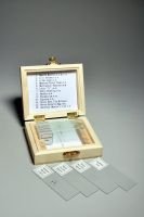 Biology Prepared Slide Set of 13