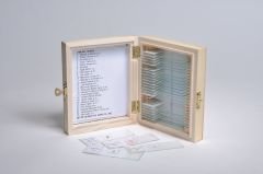 Basic Prepared Slide Set of 25