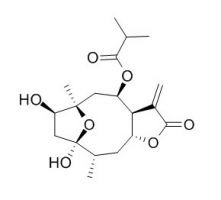 RCLCFN97012