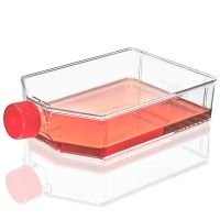 Cell Culture Flask, Non-treated, 250mL, Vent Cap, Sterile