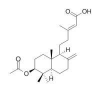 RCLCFN97090