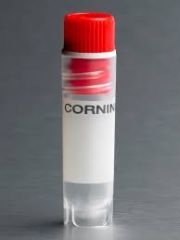 Corning® 2 mL Red Cap Internal Threaded Polypropylene Cryogenic Vial, Self-Standing with Round Bottom
