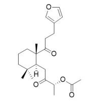 RCLCFN89116