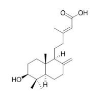 RCLCFN97091