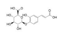 Caffeic acid 4-O-glucuronide