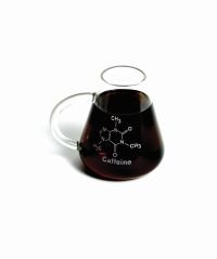 Flask Mug, Borosilicate Glass
