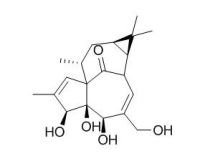 RCLCFN90187