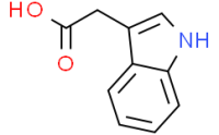 Indole-3-acetic acid