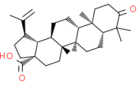 Betulonicacid