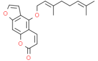 Bergamottin