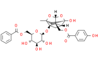 Benzoyloxypaeoniflorin