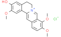 Jatrorrhizine chloride