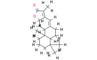 Jolkinolide E