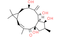 7?-Hydroxylathyrol
