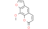 Xanthotoxin; 8-Methoxypsoralen