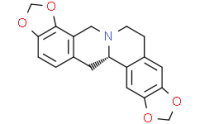 Stylopine