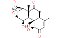 Eurycomalactone