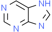 Purine