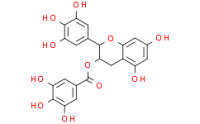 Tea polyphenol