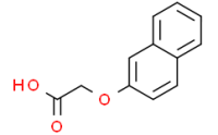 2-Naphthoxyacetic acid