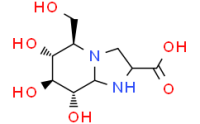 Nuezhenoside G13