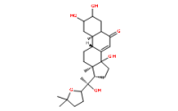 Stachysterone D