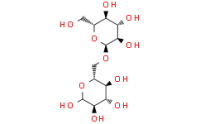 IsoMaltose