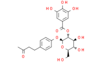 Isolindleyin