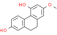 4,7-dihydroxy-2-methoxy-9,10-dihydrophenanthrene