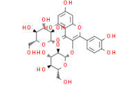 Quercetin 3-O-sophoroside