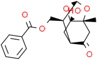 Paeoniflorigenone