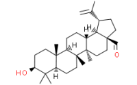 Betulinicaldehyde