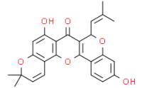 Cyclomorusin
