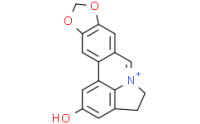 Lycobetaine