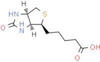 Vitamin H