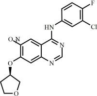 Afatinib Impurity 53