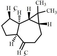 (-)-Alloaromadendrene