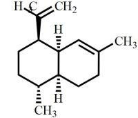 Amorphadiene