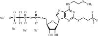 Cangrelor Tetrasodium Salt