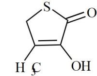 Refer to C-479; Cefradine EP Impurity F (Cephalexin EP Impurity D, Cefadroxil EP Impurity G)