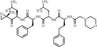 Carfilzomib Impurity 12