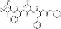 Carfilzomib Impurity 77